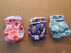 lot 46557 image: PetSoft Reusable Dog Diapers Set of 3 for Large Dogs - Retail $12