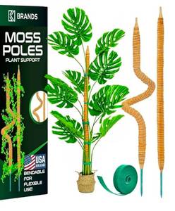 lot 674 image: 2 Pack 28 Bendable Moss Pole Monstera Plant Support for Climbing Indoor Plants - Stakes for Potted Climbers - Tall Sticks Indoor Trellis for Houseplants - Accessories for Monstera Pot - Retail $0