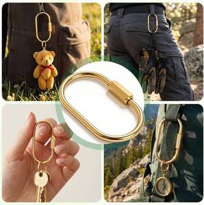 lot 21450 image: Gold Brass Key Rings Bulk,Carabiner Keychain Clip for Keys,Key Chain Organizer Holder for Men Women Adult with Screw Lock,Bag Charms for Handbags