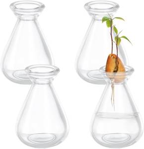 lot 21510 image: NBEADS 4 Pcs Avocado Seed Starter Vases, Clear Glass Avocado Growing Pot Plant Germination Vases for Growing Acorn Seeds Herbs Bulbs Indoor Plant Gardening Lover