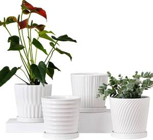 lot 21531 image: Ton Sin Plant Pots,White 6 Inch Flower Pots for Plants,Ceramic Planter with Drainage Holes,Indoor Planter Pots with Saucer,Outdoor Garden Pots (White, 4 Pack)