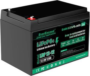 lot 21535 image: EverExceed 12V 12Ah LiFePO4 Lithium Battery Built-in 15A BMS, 12V Lithium Battery for Power Wheels, Fish Finder, Small UPS, RV, Lawn Mower, Burglar Alarm System, Solar Panel, Emergency Lighting