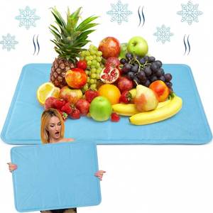 lot 21537 image: Reallnaive 2 Pcs Reusable Freezable Ice Mat for Buffet Table Chilled Serving Tray Party 19.69 x 15.75 Inches Light Blue Charcuterie Cooler Cooling Trays for Food Cheese