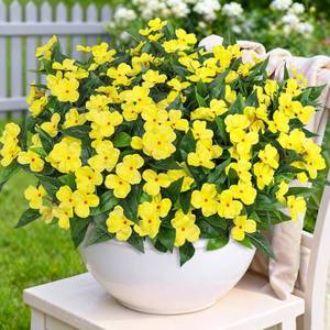 lot 21549 image: Artificial Flowers for Outdoors Decorations, 6 Bundles Realistic Impatiens Silk Faux Flowers UV Resistant Fake Plants for Outside Pot Patio Garden Porch Planters Window Box Balcony Indoor Home Decor