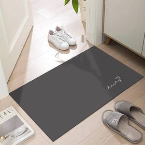 lot 21649 image: Ultra Thin Door Mat Indoor Entrance, 110 in Thin Door Mats for Inside Entry, Non-Slip Rubber Backing Washable Doormat, Fade Resistant, Absorbent Dirt Trapper, 24X16, Dark Grey