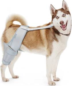 lot 21695 image: Dog Knee Brace for Torn ACL & Hind Leg Support   Adjustable Dog Hip & Leg Brace for Cruciate Ligament, Arthritis Relief, Joint Stability & Injury Recovery, Color Silver, Size 2X-Large