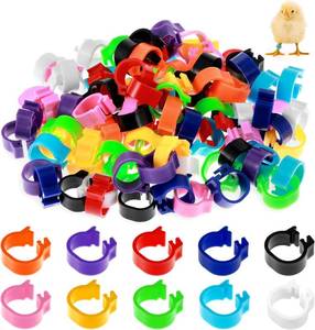 lot 21814 image: 100Pcs 10mm Baby Poultry Leg Bands with 10 Colors Chicken Quail Bird Identification Bands Clip on Leg Rings Poultry Tags for Chicks Bantam Finch Dove Lovebird Quail Small Birds