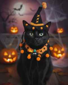 lot 1327 image: Halloween Crochet Cat Bib and Witch Hat Set