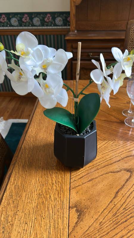 lot 861 image: Artificial White Orchid Plant in Black Hexagonal Pot
