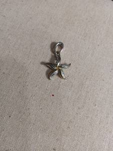 lot 6060 image: Two-Tone Starfish Charm Pendant