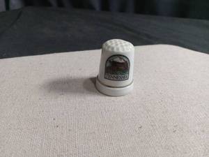 lot 6080 image: Tennessee Souvenir Porcelain Thimble