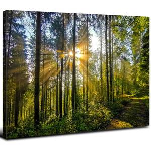 lot 1110 image: Sunrise Forest Canvas Wall Art for Living Room Nature Landscape Pictures Wall Decor Sunset Woods Mountain Painting Sunset Trees Trail Scenery Photo Prints Poster Artwork Bathroom Decorations 12x16