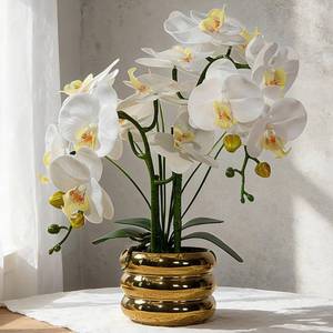 lot 1357 image: JARELING White Real Touch Orchid Artificial Flowers with Vase for Table Centerpieces, Real Touch Faux White Orchid Phalaenopsis in Ceramic Pot for Home Wedding Kitchen Decoration (Gold Vase, White)