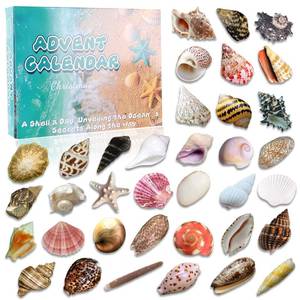 lot 2190 image: Natural Ocean Christmas Advent Calendar 2025 for Kids, 24 Days of Random Shells, Conchs, Starfish � Blind Box Christmas Countdown Gift for Boys, Girls, Teens and Adults � Sustainable Coastal Gift