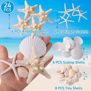 lot 4222 image: 24PCS Sea Shells for Crafts Decoration - Real White Natural 2in-5in Scallop Shells and Starfish Coastal Christmas Craft Supplies, Beach Party, Painting, Easter DIY, Vase,Baking Shells, Birthday Gift
