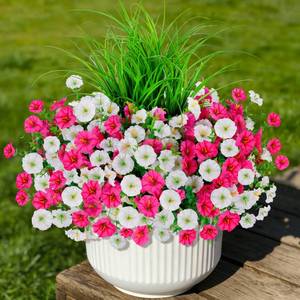 lot 6082 image: INQCMY Artificial Flowers for Outdoors, 12 Bundles UV Resistant Fake Morning Glory and 2 Bundles Greenery Grass, Silk Faux Plants for Garden Porch Patio Home Decor