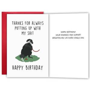 lot 10396 image: YIWANSIN Funny Birthday Card and Gift for Husband Wife Boyfriend Girlfriend, Humorous Appreciation Greeting Card for Bestie Best Friend, Cute Snarky Gift for Anniversary Birthday Valentine�s Day