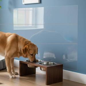 lot 18197 image: OrgaftNeat Wall Protector, Clear Plastic Electrostatic Wall Protective Film Sheet, No Adhesive, Static Cling, No Harm to Paint, Guard Walls from Furniture, Dog, Trash Can, Food Splash, Back Chair