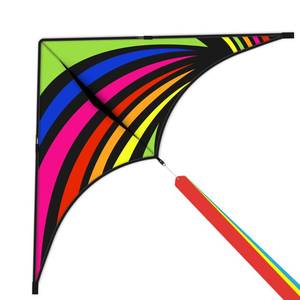 lot 2417 image: Mintfts Colorful Life Delta Kite for Kids and Adults, Extremely Easy to Fly Kites with 3 Ribbons and 300ft Kite String, Best Kites for Beginners (Rainbow)