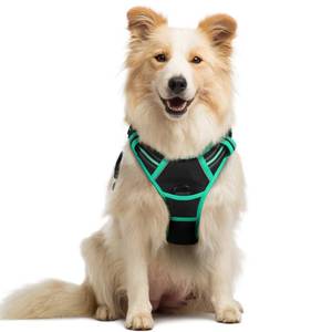 lot 2433 image: rabbitgoo Dog Harness No Pull with 2 Leash Clips, Adjustable Soft Padded, Reflective Oxford No Choke Pet Vest with Easy Control Handle for Medium Sized Dogs, Black and Turquoise, M