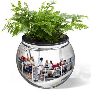 lot 3182 image: 7in Spherical Convex Mirror Glass Bowl Vase - Safety Cubicle Reflector and Desktop Rearview Mirror to See Behind You for OfficeHome Dcor, Floral Arrangements, Planter Storage