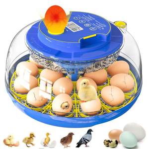 lot 5019 image: Incubators for Hatching Eggs, 18 Eggs Incubator with Automatic Egg Turning and Temperature and Humidity Control, 360° Full Viewing Eggs Candler for Hatching Chicken, Duck, Quail, Goose, Parrot