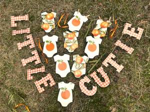lot 14394 image: 27 Pack Little Cutie Baby Shower Decorations Little Cutie Banner � Bodysuit Flags, Pre-assembled Double-Sided Orange Baby Shower Decor, A Little Cutie Is On The Way, Gender Neutral Party