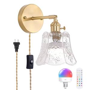 lot 19568 image: Shenmoyl Vintage Battery Operated Wall Sconce, Wireless Battery Powered Rose Wall Sconces with Remote Control, RGB Dimmable LED Plug in Wall Light for Bedside Indoor Living Room (Transparent)
