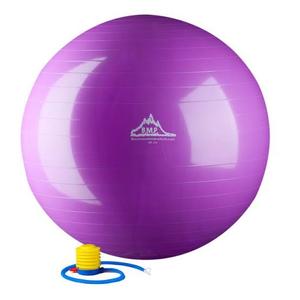 lot 3159 image: Exercise Ball