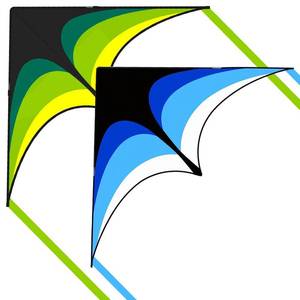 lot 2034 image: 2 Pack Delta Kite Set for Adults and Kids, Single Line Beach Kites for Boys & Girls, Two Handle with String Included (Green & Blue)