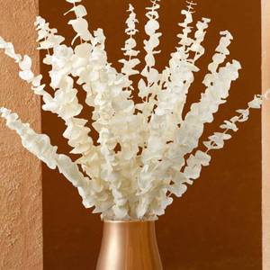 lot 4367 image: 16 Pcs Bleached Preserved Eucalyptus Stems - 16 Naturally Cream White Preserved Eucalyptus Branches, Dried Eucalyptus Stems for Vase Filler, Wedding, Home, Floral Arrangement