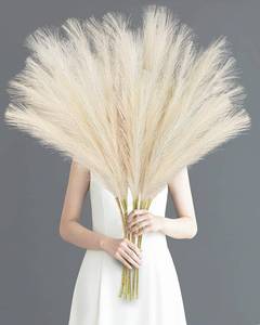 lot 9309 image: TORONTOKYO 8Pcs Beige Faux Pampas Grass Tall Decor, 35.4 Fluffy Artificial Pompous Grass Branches, Large Pampas Grass Reed Stems for Floor Vase Filler, Wedding, Baby Shower, Home Boho Decor