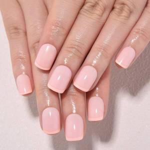 lot 12037 image: evpct Press on Nails, Petite Squoval, Nude Pink  Peach Pink Liner Tips