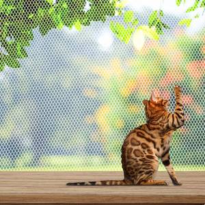 lot 20434 image: Shappy Balcony Net for Pets 16.5 ft x 2.5 ft Anti Fall Cat Dogs Netting Balcony Mesh Fence Net Screen Protection Crib Mesh for Pets Patios Stairway Clear Stair Banister Guard Apartment(White)