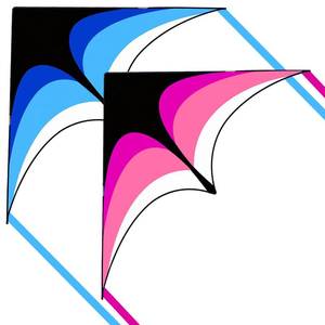 lot 6335 image: 2 Pack Delta Kite Set for Adults and Kids, Single Line Beach Kites for Boys & Girls, Two Handle with String Included (Blue & Pink)