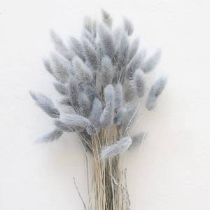 lot 6353 image: 60PCS Rabbit Tail Grass Dried Flowers Dried Natural Floral Arrangement Bunch Decoration Dried Grass,Eternal Flower Dried Grass for Home,Wedding,Party,Flower Bouquet,Photo Props Decor (Grey)