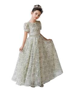 lot 6401 image: Sage Green Flower Girls Dress First Communion Dress for Girls size 3-4 years Flower Appliqued Toddler Girls Tulle Embroidery Dress