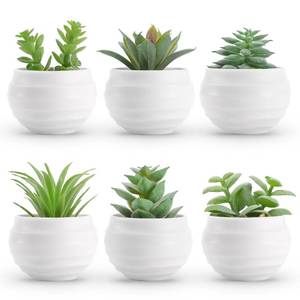 lot 9353 image: Der Rose Set of 6 Succulents Plants Artificial in Pots Small Fake Plants for Bedroom Aesthetic Living Room Shelf Bathroom Decor Office Desk Accessories