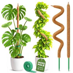 lot 14166 image: 2 Pack 28 Bendable Moss Pole Monstera Plant Support for Climbing Indoor Plants - Stakes for Potted Climbers - Tall Sticks Indoor Trellis for Houseplants - Accessories for Monstera Pot