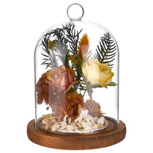 lot 3273 image: BENECREAT 5.6x7.3 Inch Glass Dome Cloche with Wooden Base, Everlasting Flower Glass Cover with Round Top Handle for Specimens Plants, Fairy Lights and Table Decor (Saddle Brown)