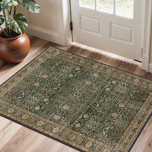 lot 20262 image: Bavni 2x3 Doormat, Machine Washable Runner Rug Non Slip, Vintage Floral Print Style Rugs for Entrance-Lightweight Low Pile Carpet for Hallways Kitchen and Corridor, Dark GreenMulti