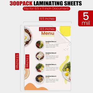 lot 1648 image: CAREGY 300 Pack Laminating Sheets, Holds 8.5 x 11 Inch Sheets,5 Mil Thermal Laminating Pouches,9 x 11.5 Inches Lamination Sheet Paper for Laminator, Clear, Letter Size, Office and School Supplies