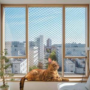 lot 2065 image: Cat Netting Balcony, Wire-reinforced Cat Net, Bite and Tear-resistant, UV and Weather-resistant, Balcony Cat Anti-Fall Netting for Pets, Cat Protection Net for Windows Patio Balcony - 10x13ft4x3m