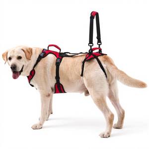 lot 13575 image: Lafoty Dog Lifting Harness for Medium Dogs, Dual Handle Dog Support Harness for Daily Walking Assistance, Male Dog-Friendly, Breathable and Easy On Mobility Aid, Red, M