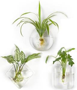 lot 14263 image: Mkono Wall Planter Propagation Stations Hanging Glass Terrariums Vase Container for Propagating Hydroponic Plants Flowers Home Office Living Room Bathroom Garden Decor, 3 Pack(Plants not Included)