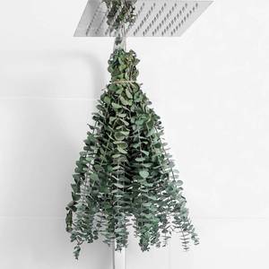 lot 20291 image: 10 Pcs Dried Eucalyptus Stems 17in Real Eucalyptus for Shower Hanging 100percent Made from Fresh Leaves, Wedding, Home, Farmhouse, DIY Spring Decor Bathroom Decor Home Decor