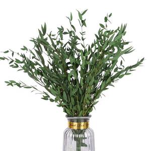lot 2263 image: HIAGROW Real Eucalyptus Stems Greenery Decor 20PCS 17in Dried Willow Eucalyptus Plant Preserved Greenery Stems for Home Vase Filler Wedding Flowers Arrangement Spring Motherfts Day Decorations