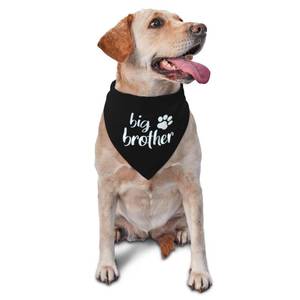 lot 20022 image: vercosee Big Brother Gender Reveal Baby Announcement Dog Bandana Matching Family Triangle Dog Bandana for Dogs (Black)