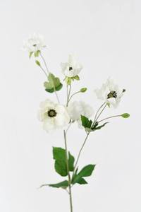 lot 20368 image: Faux White Flower Stems with Green Leaves