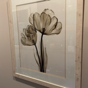 lot 1063 image: Parrot tulips matted and framed print 42x36